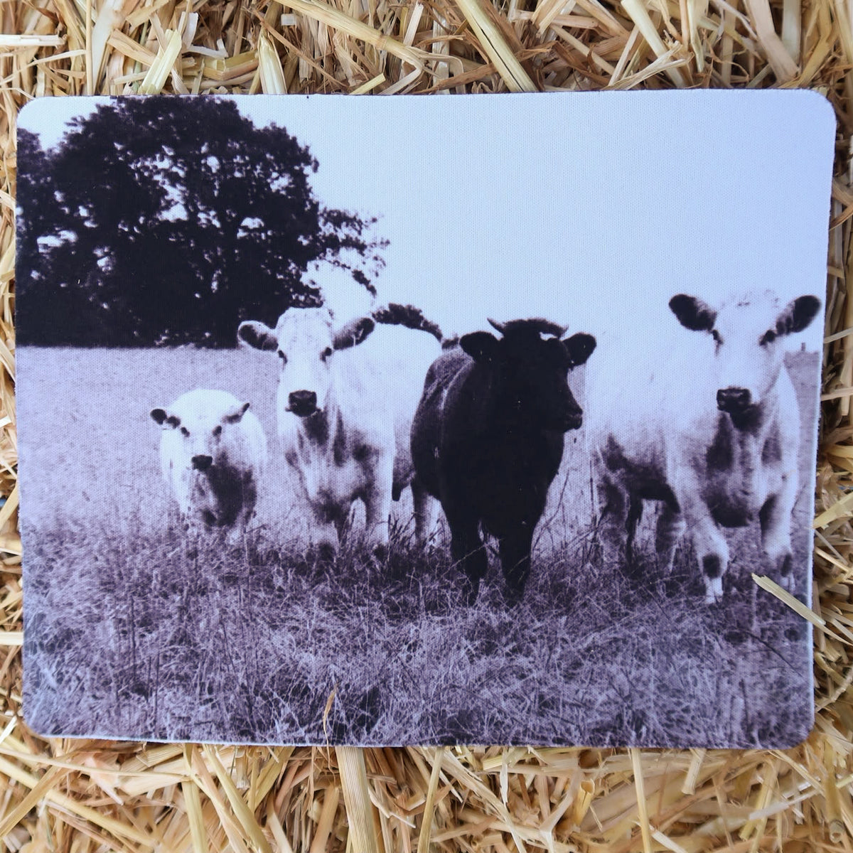 Country Lanes Mouse Mat