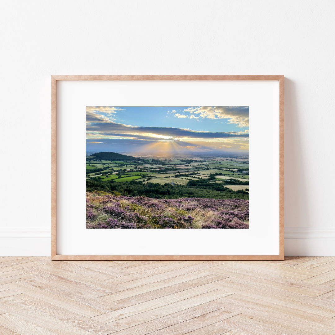 Country Lanes Mounted Print
