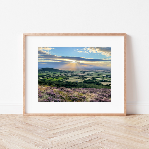 Country Lanes Mounted Print