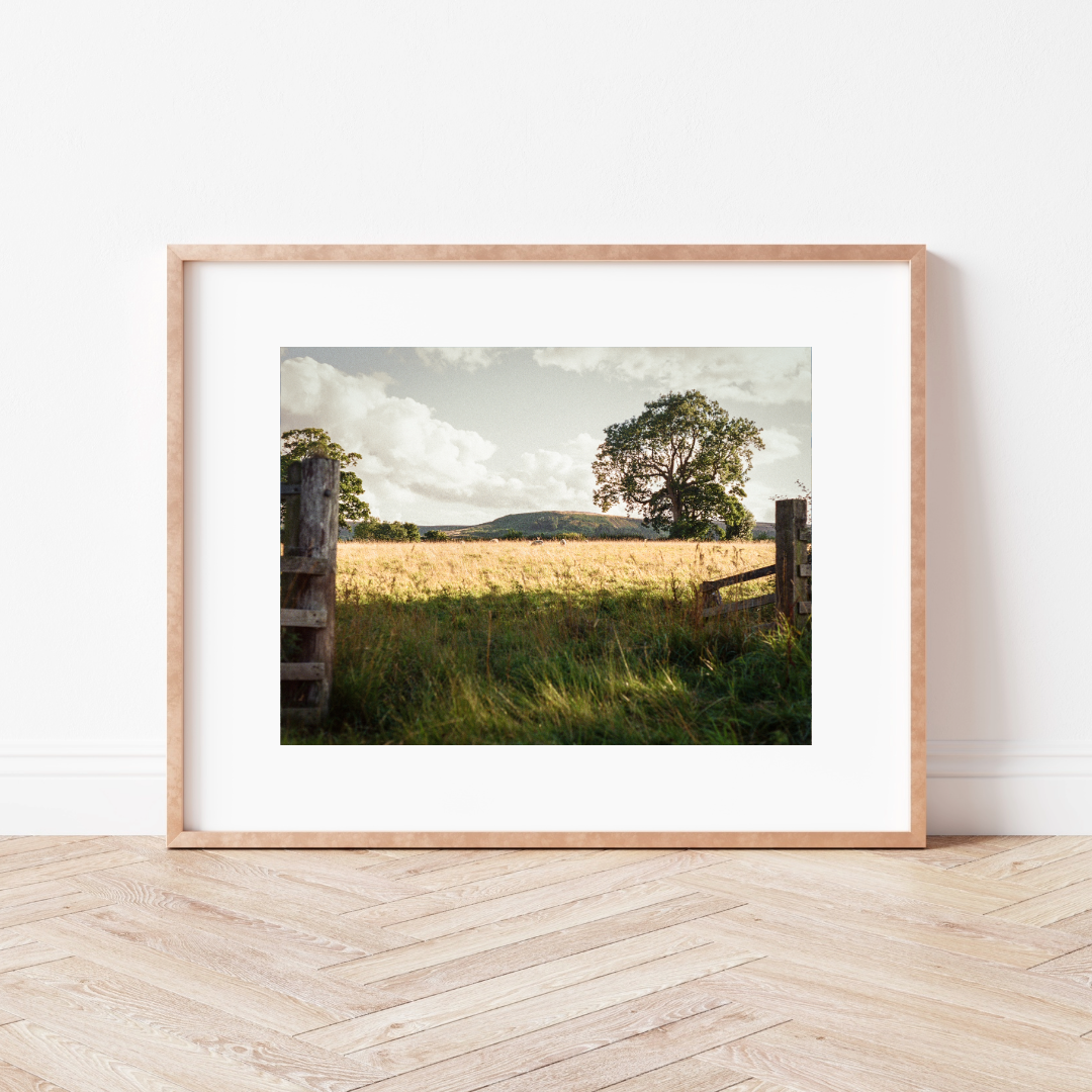 Country Lanes Mounted Print