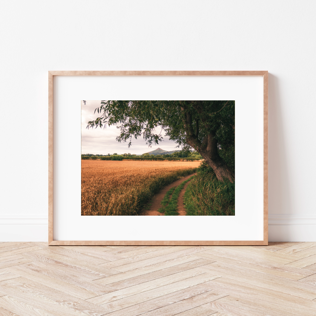 Country Lanes Mounted Print
