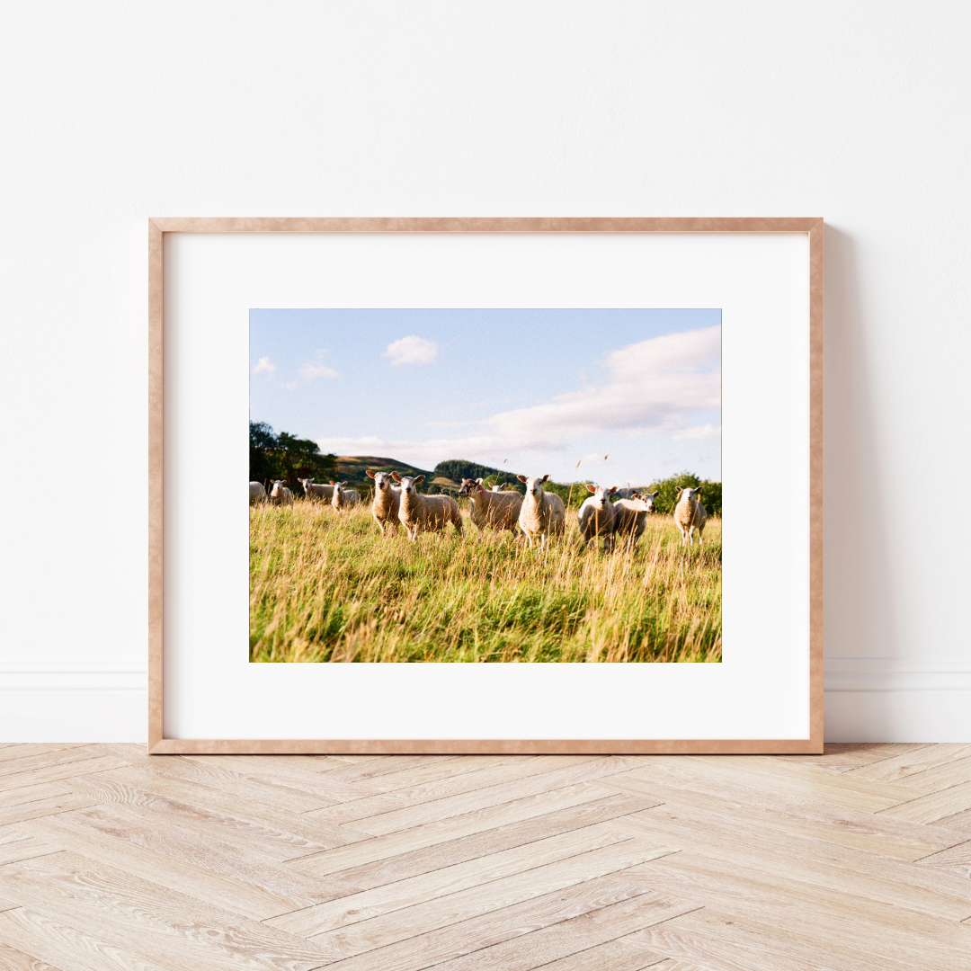 Country Lanes Mounted Print