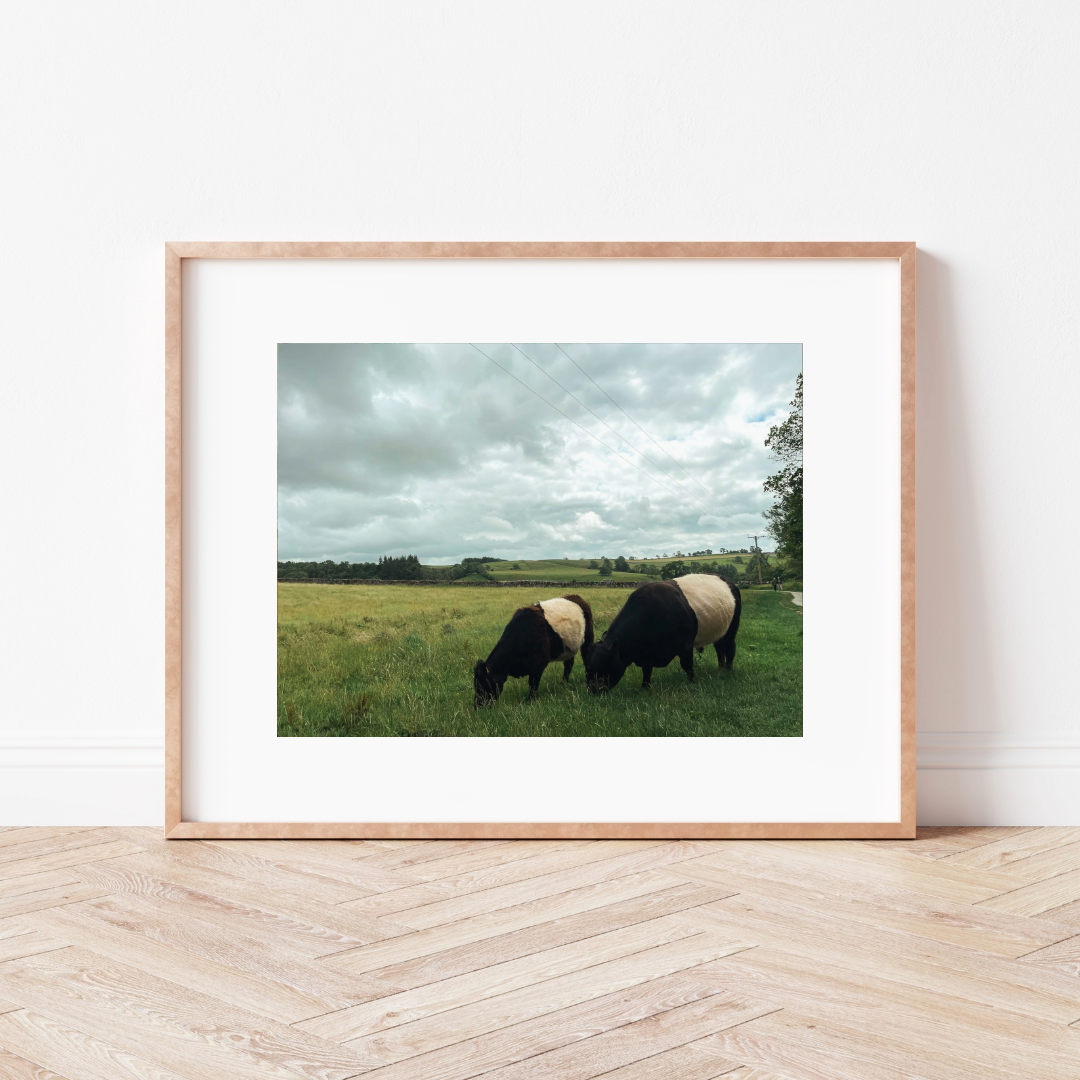 Country Lanes Mounted Print