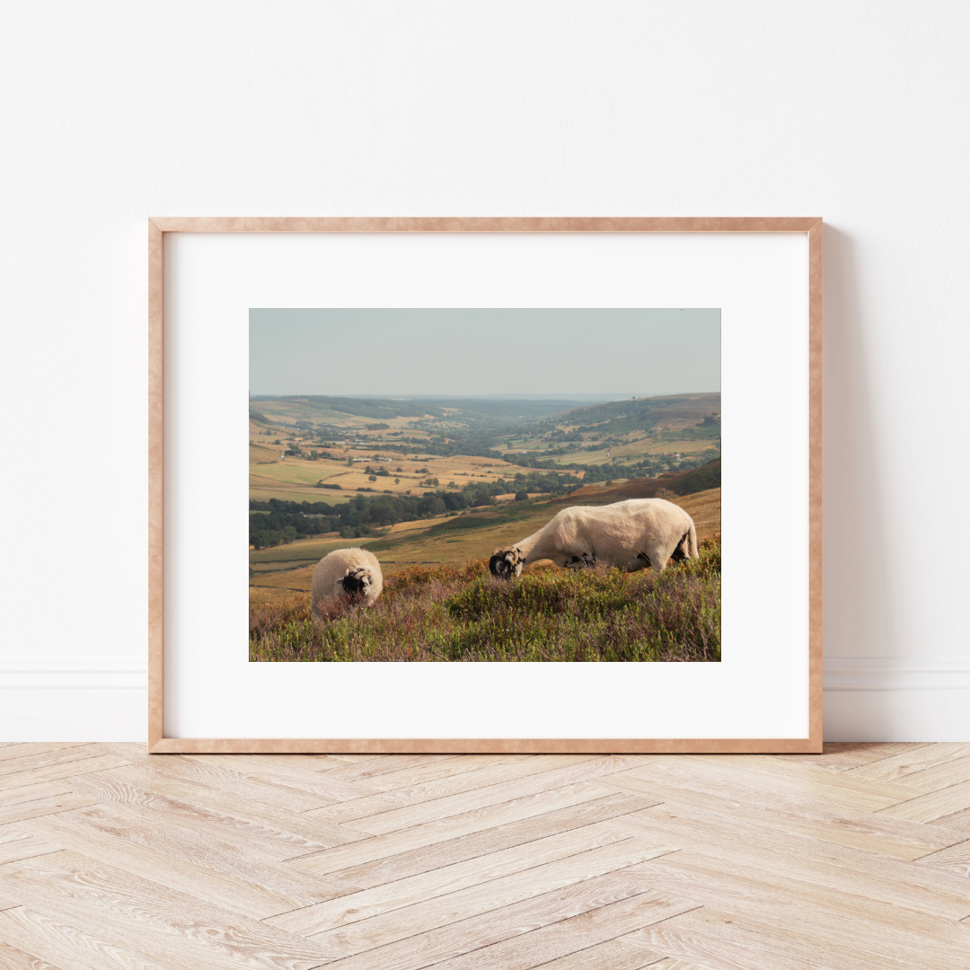 Country Lanes Mounted Print