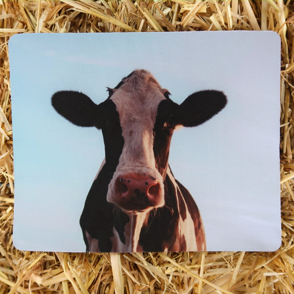 Country Lanes Mouse Mat
