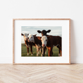 Country Lanes Mounted Print