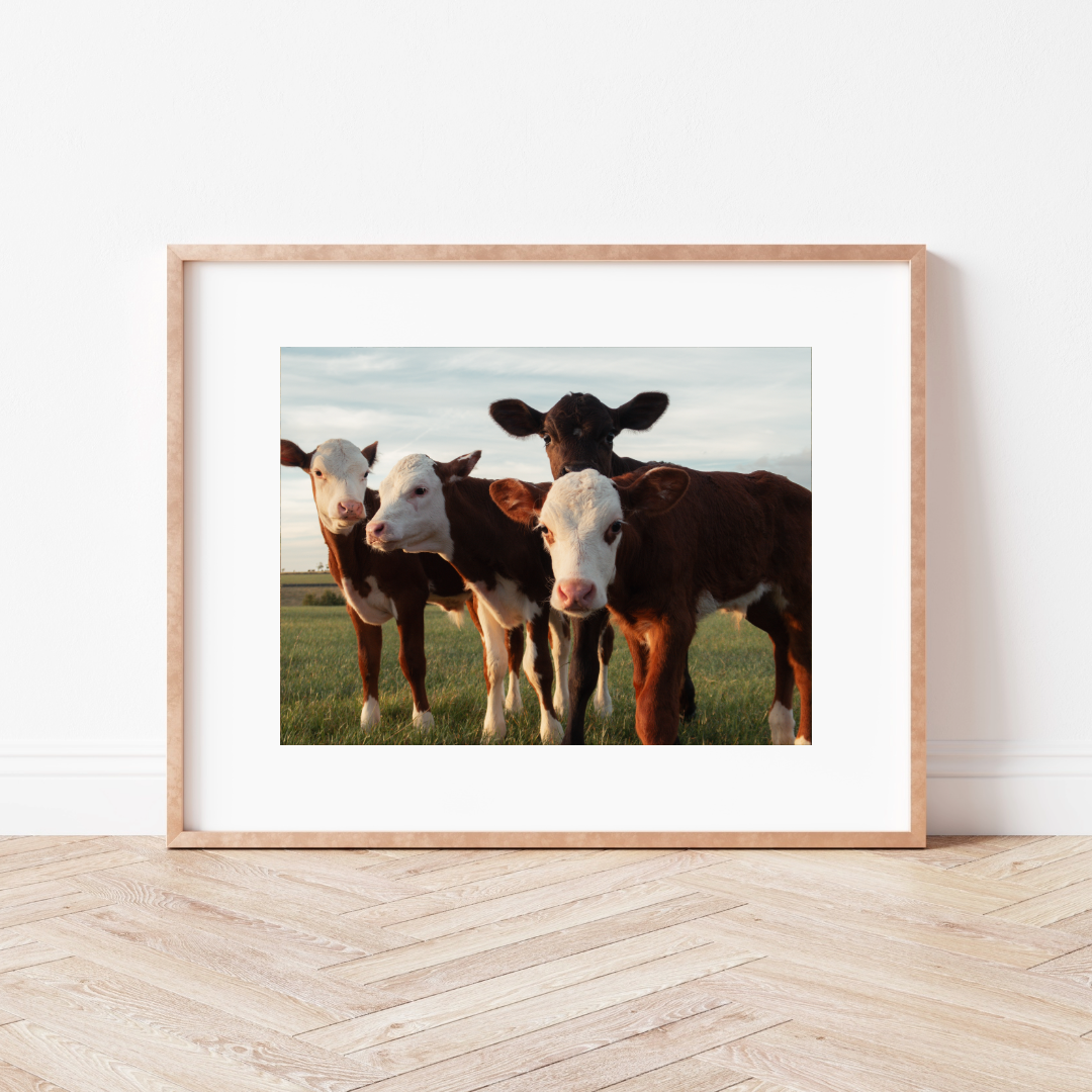 Country Lanes Mounted Print
