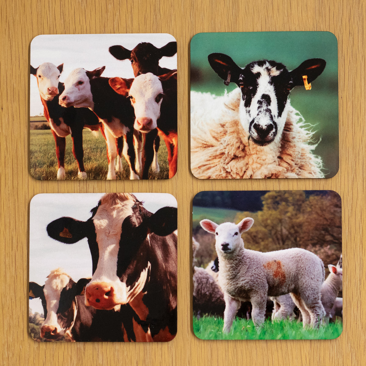 Country Lanes Coaster Set of 4