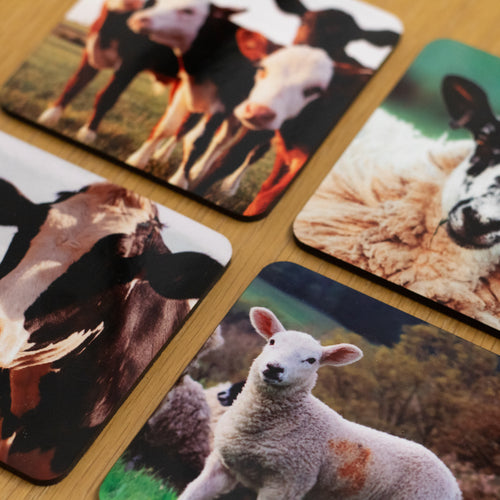 Country Lanes Coaster Set of 4
