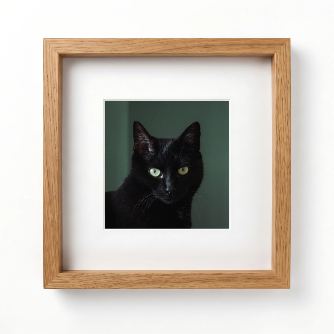 Poppet Limited Edition Mini Mounted Print