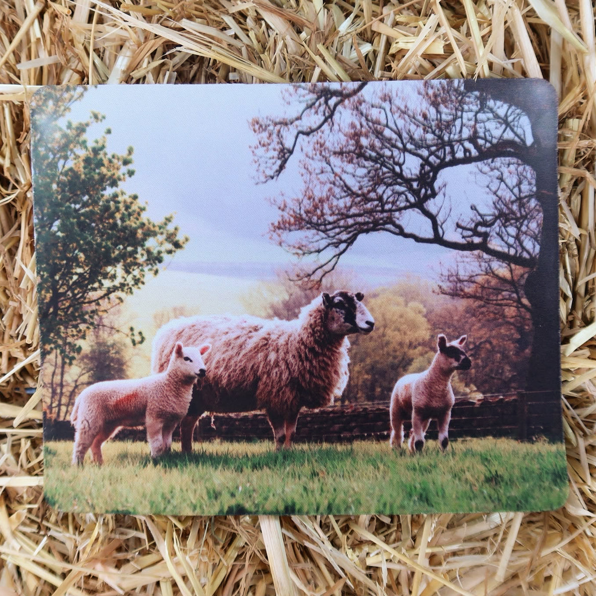 Country Lanes Mouse Mat